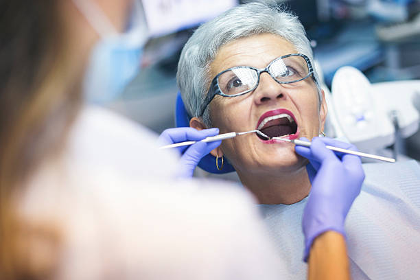  Oak Forest, IL Holistic Dental Services Pros